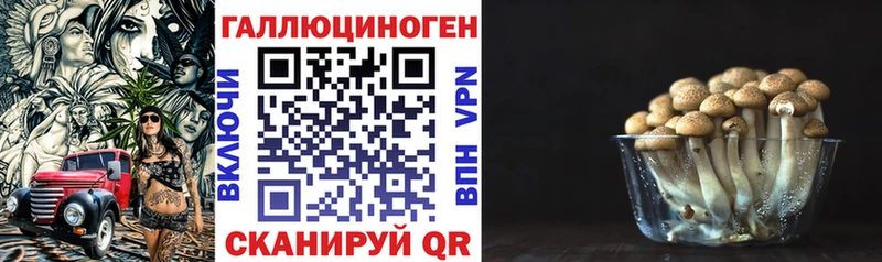 Псилоцибиновые грибы мухоморы  Дубна 